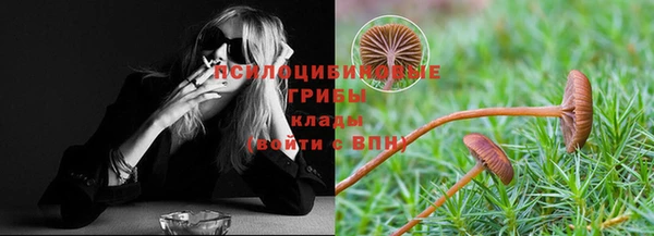 гашик Елизово