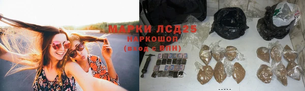 гашик Елизово