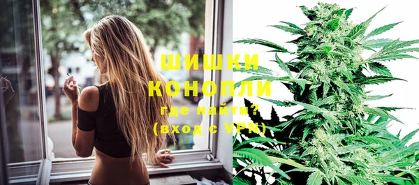 прущая мука Ельня