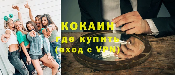 гашик Елизово
