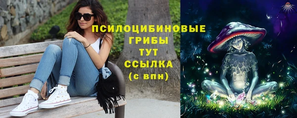 прущая мука Ельня