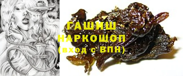 гашик Елизово