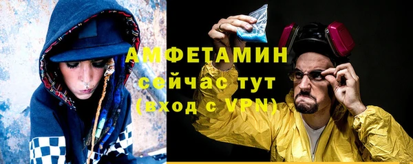 гашик Елизово