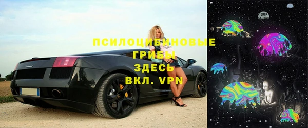 гашик Елизово