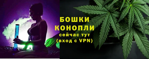 гашик Елизово